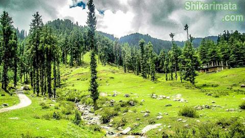 Janjehli Valley to Shakri mata and budha kadar trekking