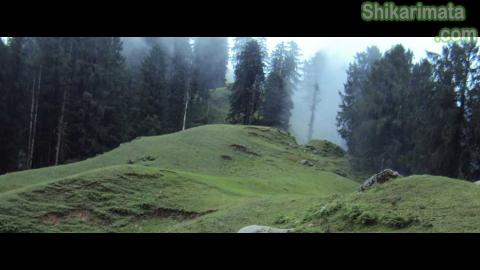 Bagsaid-valley-Mandi---Near-Shikari-Devi