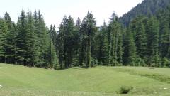 Bhulah green view shikari devi janjehli